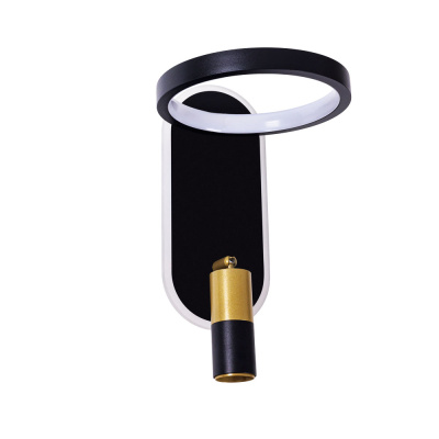 Светильник настенный Arte Lamp TOLIMAN A2613AP-2BK