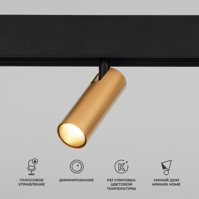 Трековый магнитный светильник Elektrostandard Slim magnetic 4690389195280