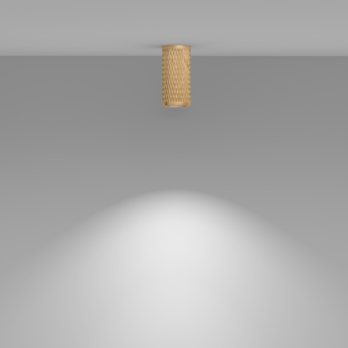 Потолочный светильник Maytoni Focus Design C036CL-01G