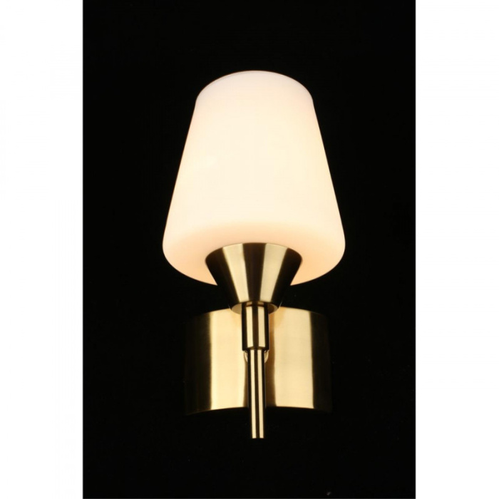 Светильник настенный Aployt Lyus APL.840.01.01