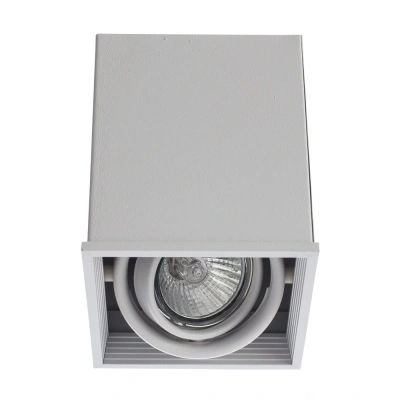 Потолочный светильник Arte Lamp Cardani A5942PL-1WH