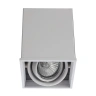 Потолочный светильник Arte Lamp Cardani A5942PL-1WH