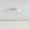 Светильник потолочный Citilux Купер CL72424V0