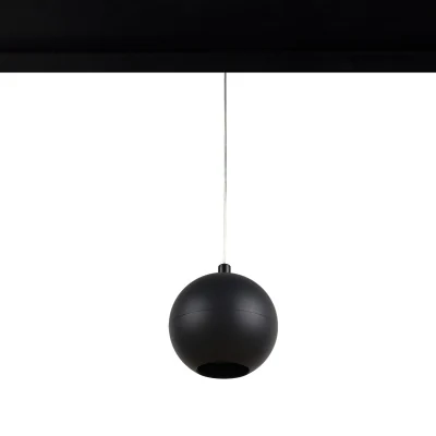 Трековый светильник LOFT IT T024-06P