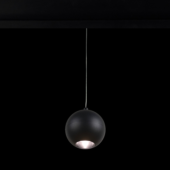 Трековый светильник LOFT IT T024-06P