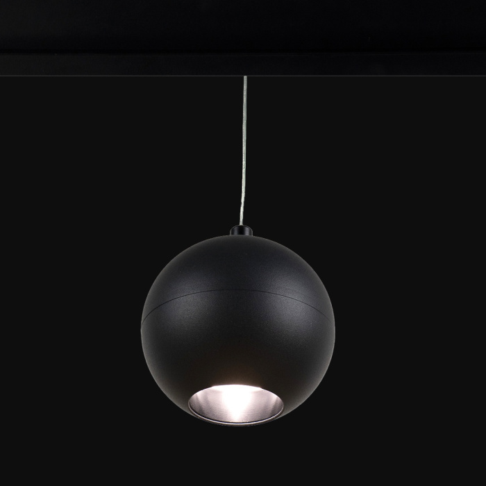 Трековый светильник LOFT IT T024-06P