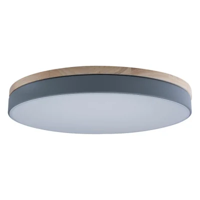 Светильник потолочный Loft it Axel 10001/36 Grey