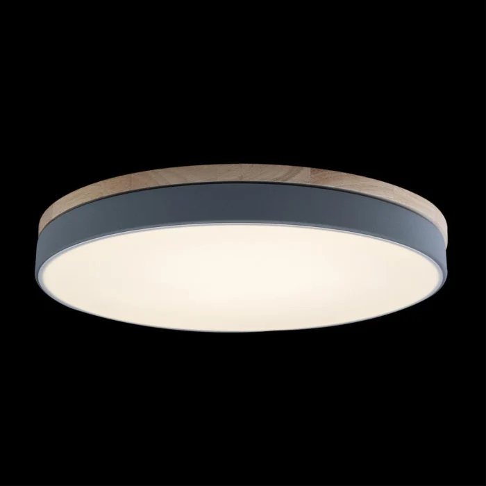 Светильник потолочный Loft it Axel 10001/36 Grey