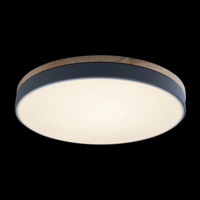 Светильник потолочный Loft it Axel 10001/36 Grey