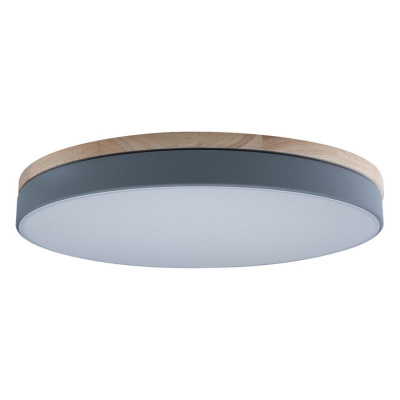 Светильник потолочный Loft it Axel 10001/36 Grey