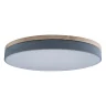 Светильник потолочный Loft it Axel 10001/36 Grey