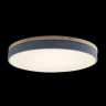 Светильник потолочный Loft it Axel 10001/36 Grey