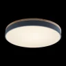 Светильник потолочный Loft it Axel 10001/36 Grey