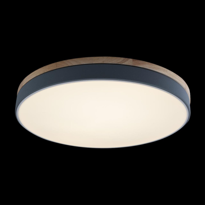 Светильник потолочный Loft it Axel 10001/36 Grey