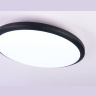 Потолочный светодиодный светильник Ambrella light FZ1233