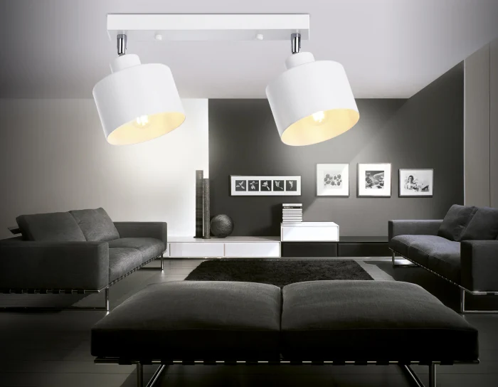 Настенно-потолочный спот в стиле лофт Ambrella light TR8141