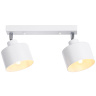 Настенно-потолочный спот в стиле лофт Ambrella light TR8141