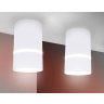 Накладной точечный светильник с акрилом Ambrella light TN3411