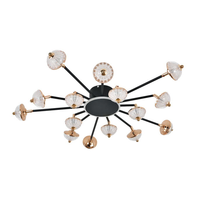 Потолочный светильник METEOR ESCADA 630/A LED BL