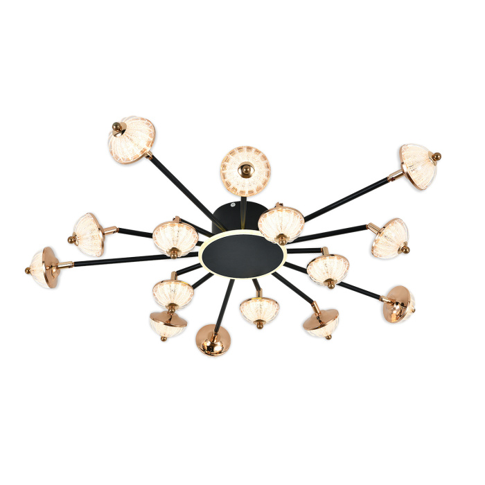 Потолочный светильник METEOR ESCADA 630/A LED BL