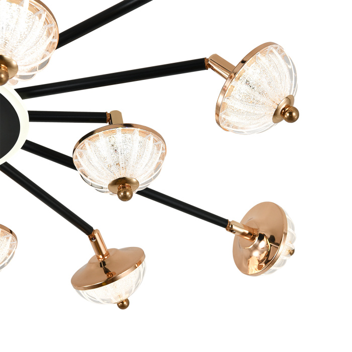 Потолочный светильник METEOR ESCADA 630/A LED BL