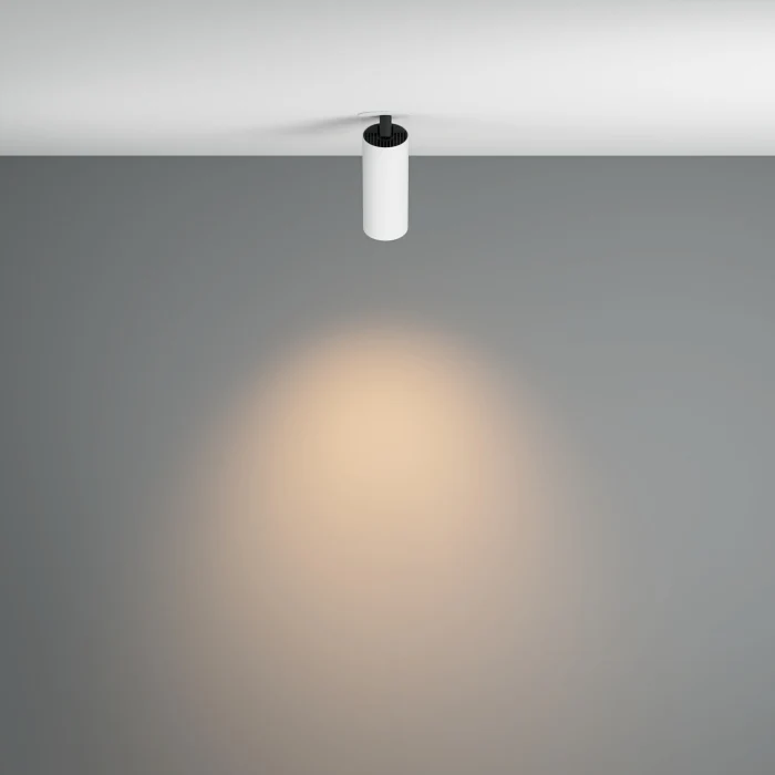Спот Maytoni Focus LED C053CL-L12W3K-W-W
