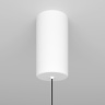 Подвесной светильник Maytoni Ray P022PL-L20W3K