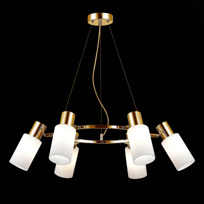 Подвесной светильник evoluce GESSI SLE1139-303-06