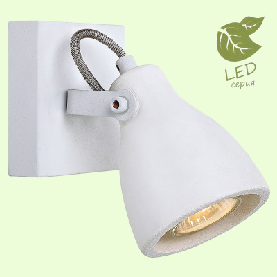 Спот FORT COLLINS GRLSP-9822