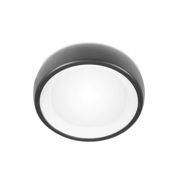 Потолочный светильник FORLIGHT RHINO PX-0096-ANT