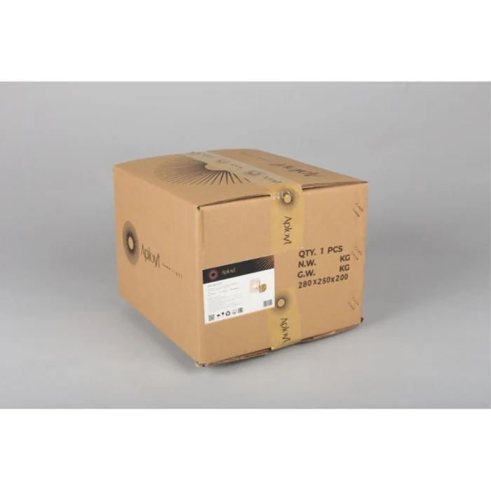 Светильник настенный Aployt Syuzet APL.661.01.01