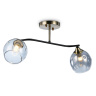 Потолочный светильник Ambrella light TR303008