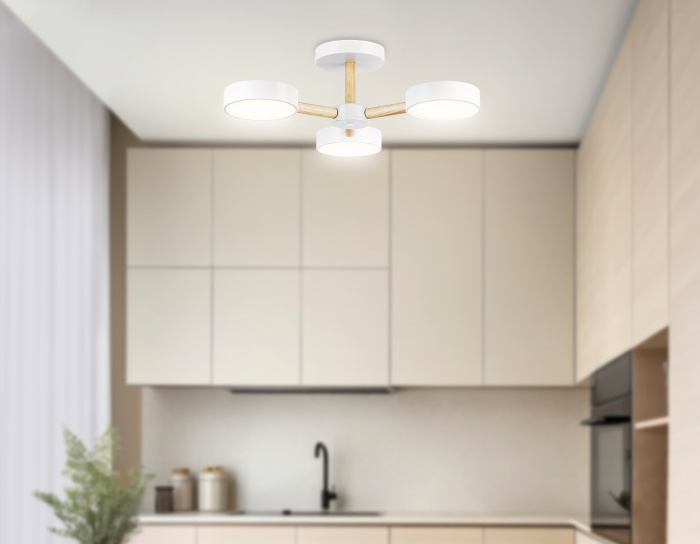 Потолочный светодиодный светильник с пультом Ambrella light FL4821