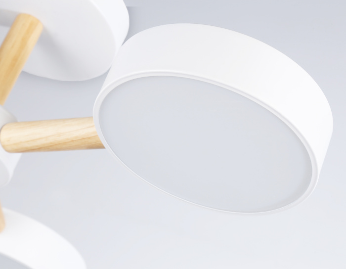 Потолочный светодиодный светильник с пультом Ambrella light FL4821