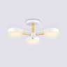 Потолочный светодиодный светильник с пультом Ambrella light FL4821