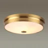 Настенно-потолочный светильник Odeon Light Marsei 4824/4C