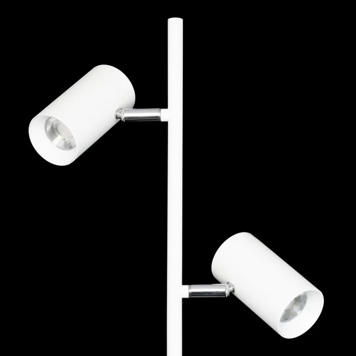Торшер Citilux Twin CL809010N