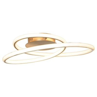 Светильник потолочный INGERSOLL LSP-8346