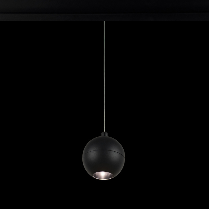 Трековый светильник LOFT IT T024-12P