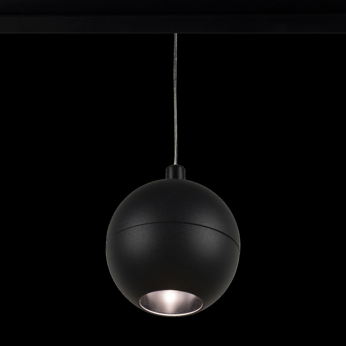 Трековый светильник LOFT IT T024-12P