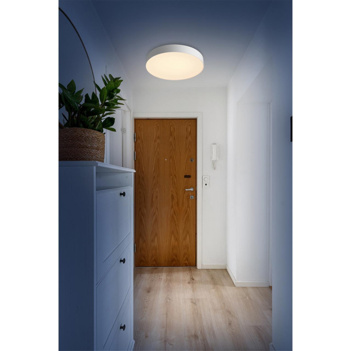 Настенно-потолочный светильник СОНЕКС BASICA 7779/ELN