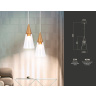 Подвесной светильник Ambrella light TR3666