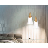Подвесной светильник Ambrella light TR3666