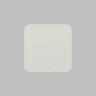 Конвертер WiFi-Zigbee/BLE для умного дома Denkirs Zigbee Control DK7402-WF