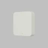 Конвертер WiFi-Zigbee/BLE для умного дома Denkirs Zigbee Control DK7402-WF