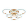 Потолочный светодиодный светильник с пультом Ambrella light FA418