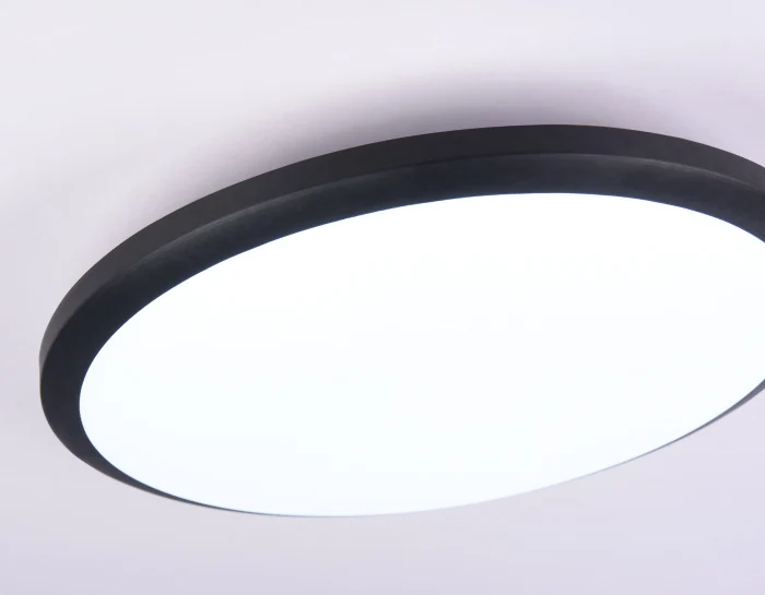 Потолочный светодиодный светильник Ambrella light FZ1234