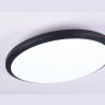 Потолочный светодиодный светильник Ambrella light FZ1234