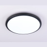 Потолочный светодиодный светильник Ambrella light FZ1234