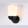 Уличный настенный светильник Ambrella light ST2083